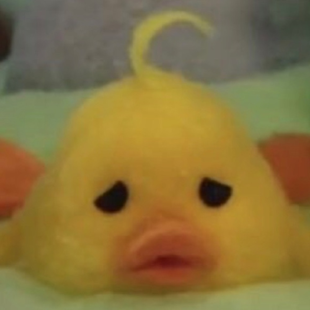 Meet your Posher, Kenia